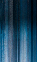 BLUE VEIL