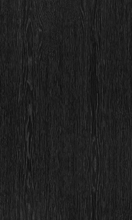 Black Wood